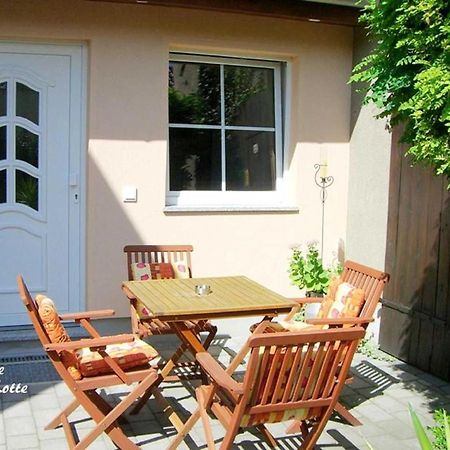 Ferienwohnungen _ Haus Lisa_ Senftenberg Eksteriør billede