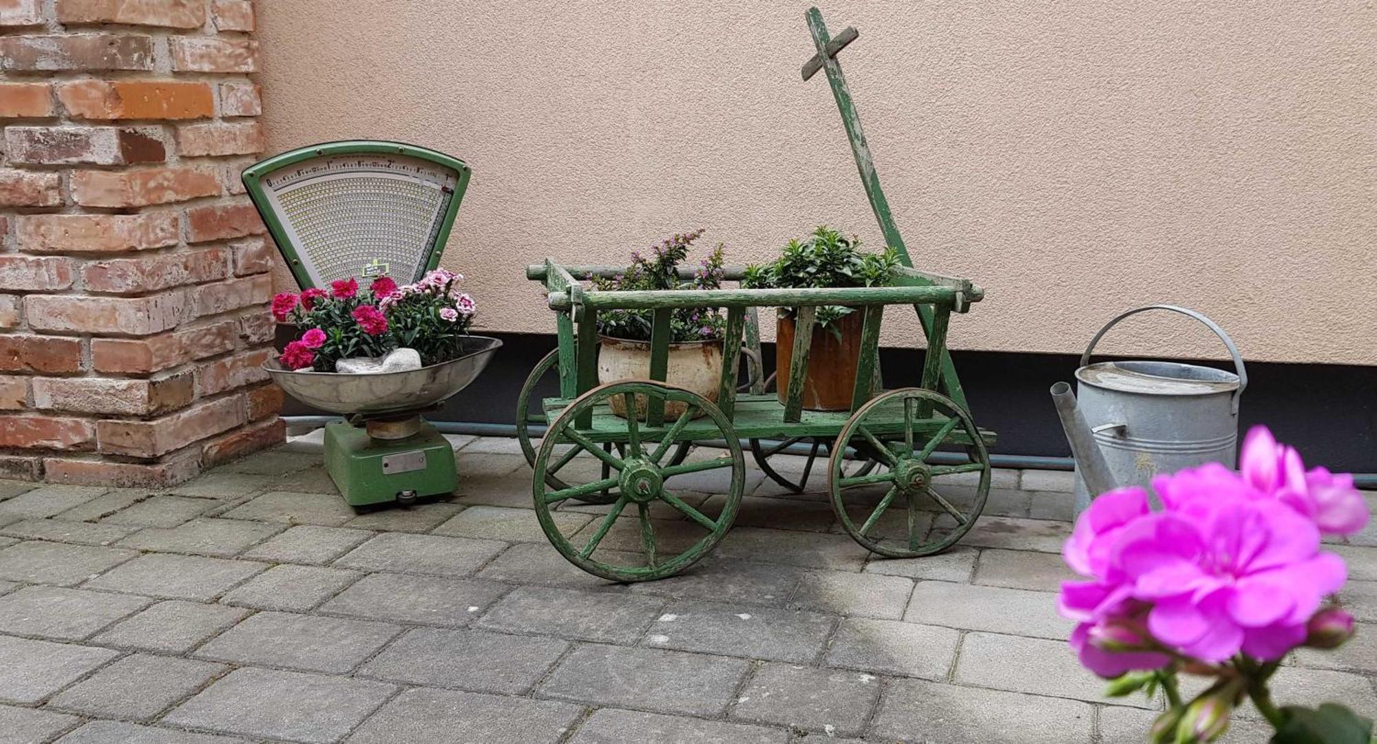 Ferienwohnungen _ Haus Lisa_ Senftenberg Eksteriør billede